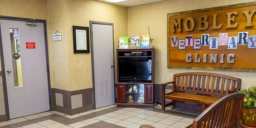 Mobley Veterinary Clinic in Nashville, TN