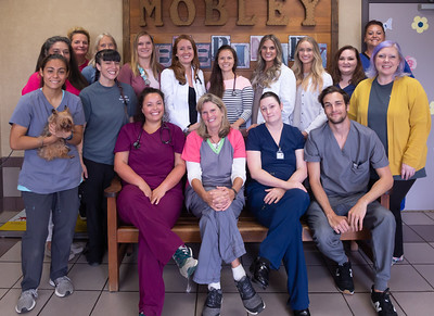 Mobley Veterinary Clinic Team